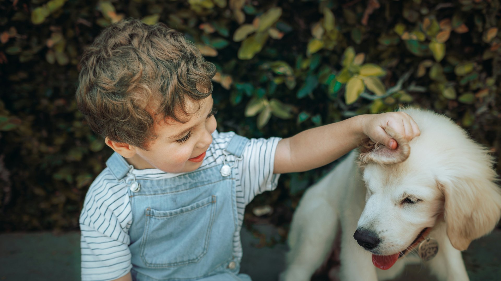 A child sitting with a dog outside